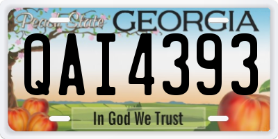 GA license plate QAI4393