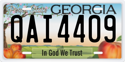 GA license plate QAI4409