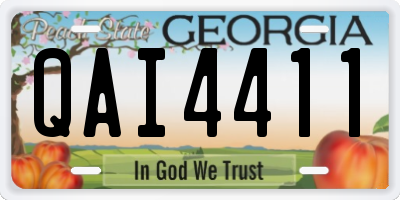 GA license plate QAI4411