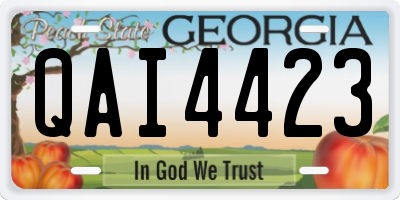 GA license plate QAI4423