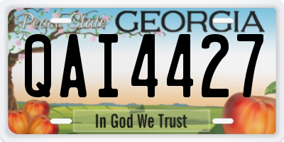 GA license plate QAI4427