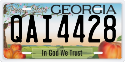 GA license plate QAI4428