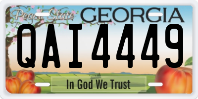GA license plate QAI4449