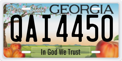 GA license plate QAI4450