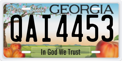 GA license plate QAI4453