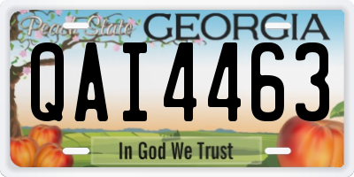 GA license plate QAI4463