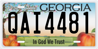 GA license plate QAI4481