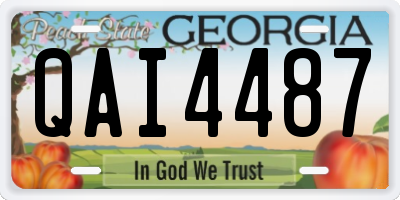 GA license plate QAI4487
