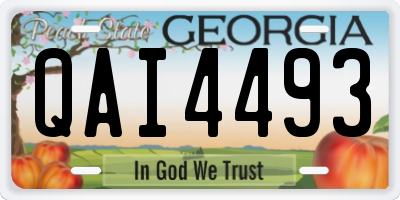 GA license plate QAI4493