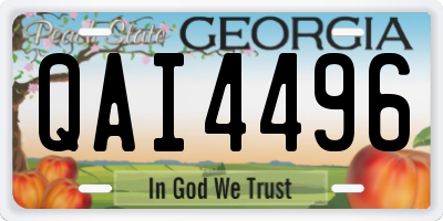 GA license plate QAI4496