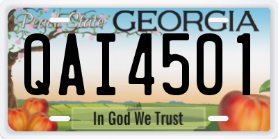 GA license plate QAI4501