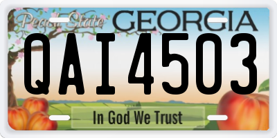 GA license plate QAI4503