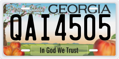 GA license plate QAI4505