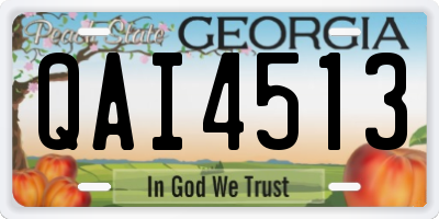 GA license plate QAI4513