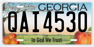 GA license plate QAI4530