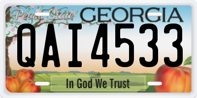 GA license plate QAI4533