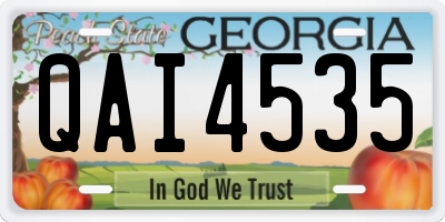 GA license plate QAI4535