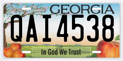 GA license plate QAI4538