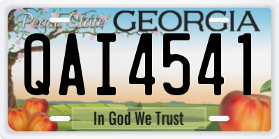 GA license plate QAI4541