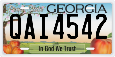GA license plate QAI4542
