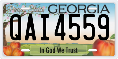 GA license plate QAI4559