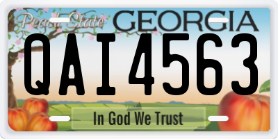 GA license plate QAI4563