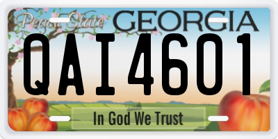 GA license plate QAI4601