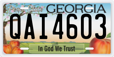 GA license plate QAI4603