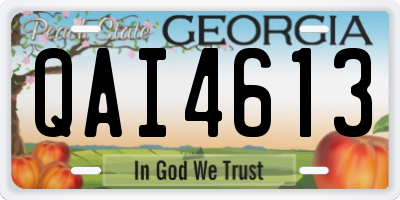 GA license plate QAI4613