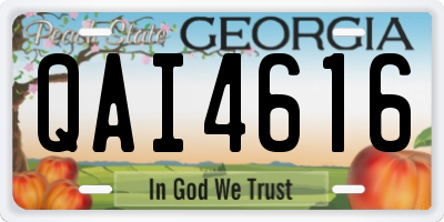 GA license plate QAI4616