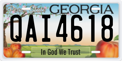 GA license plate QAI4618