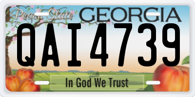GA license plate QAI4739