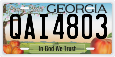 GA license plate QAI4803
