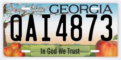 GA license plate QAI4873