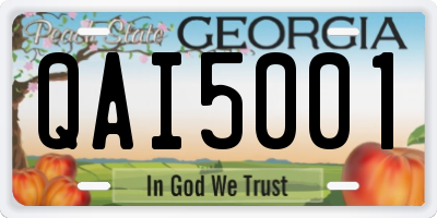 GA license plate QAI5001