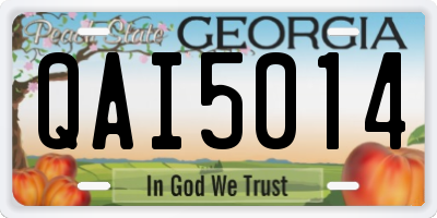 GA license plate QAI5014