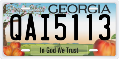 GA license plate QAI5113