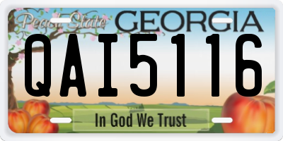 GA license plate QAI5116