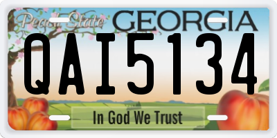 GA license plate QAI5134