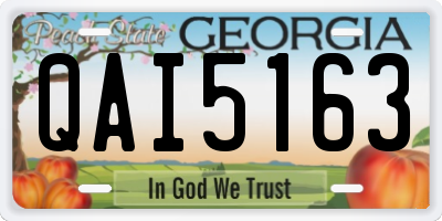 GA license plate QAI5163