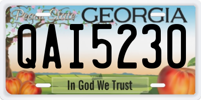 GA license plate QAI5230