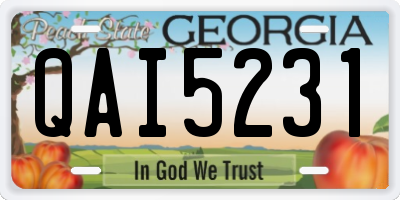 GA license plate QAI5231