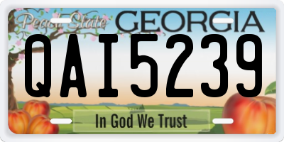 GA license plate QAI5239