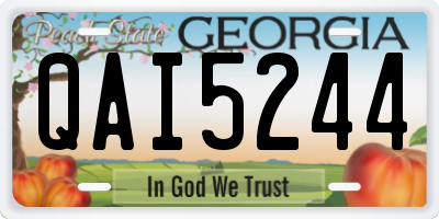 GA license plate QAI5244