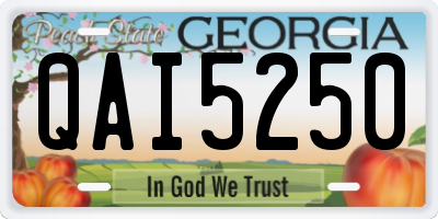 GA license plate QAI5250