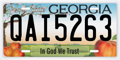 GA license plate QAI5263