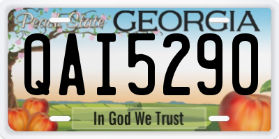 GA license plate QAI5290