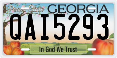 GA license plate QAI5293