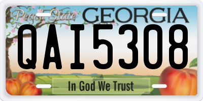 GA license plate QAI5308