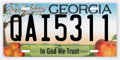 GA license plate QAI5311